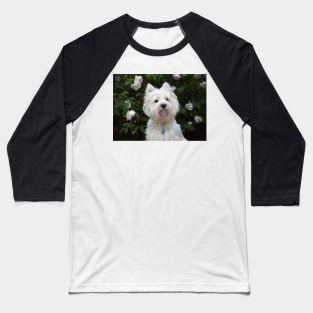 Westie in the floral garden Baseball T-Shirt